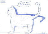 PETIT - Chats, animaux