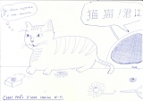 Chat près d'une chaîne Hi-Fi - Chats, animaux