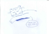 A 15 ans... - Chats, animaux