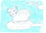 Caramel en route vers le paradis - Chats, animaux