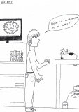 NOS AMIS - Chats, animaux